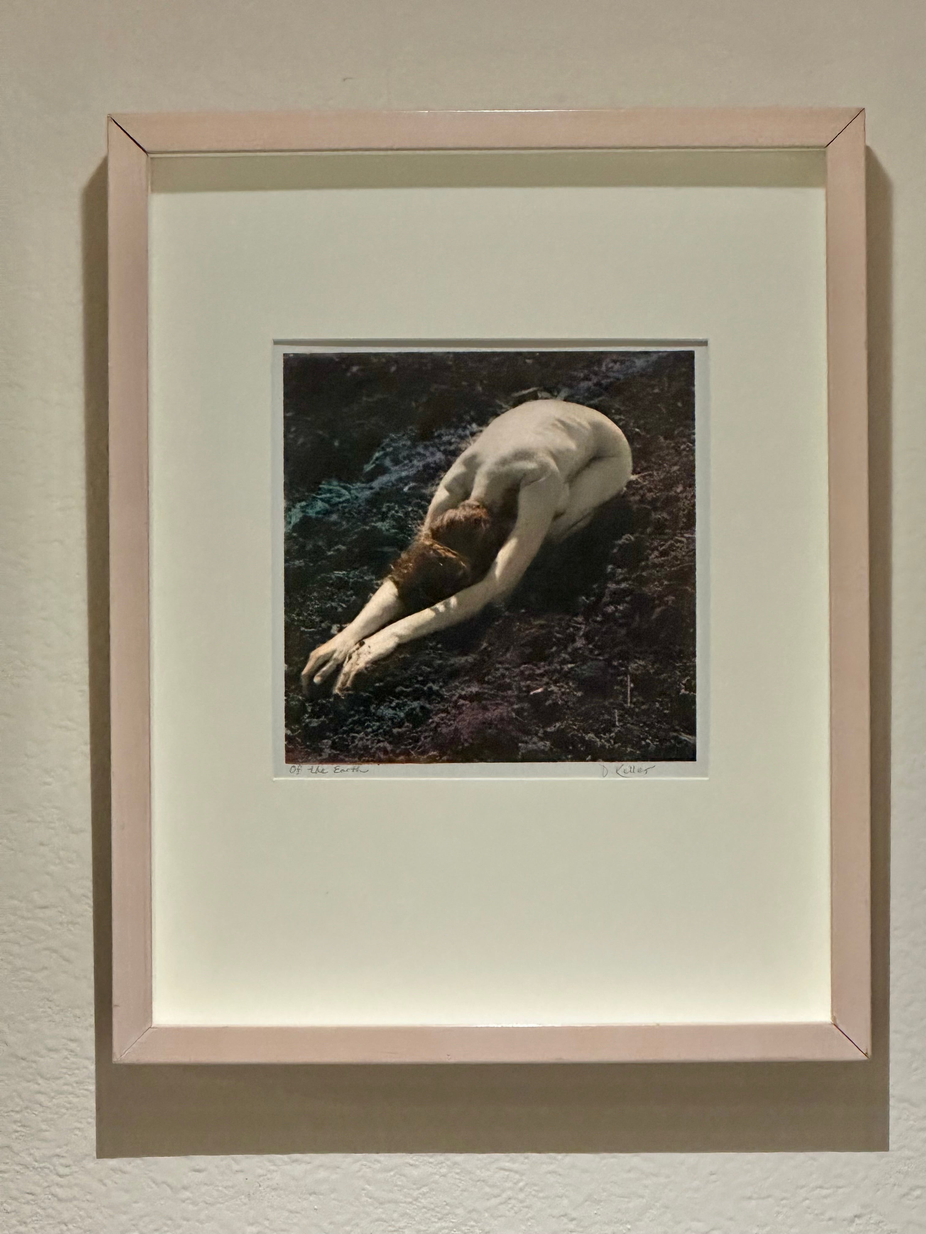 Deborah Keller - Art - Of The Earth