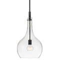 HINKLEY Ziggy 4457BKCL PENDANT LIGHT