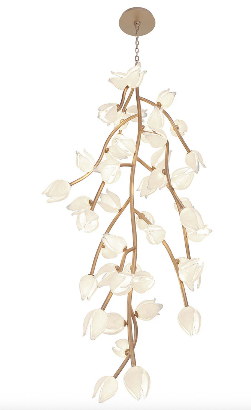 LIB&CO Belluno 1011303 TULIP FLOWER CHANDELIER
