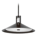 HUDSON VALLEY 3020-DB lighting pendant
