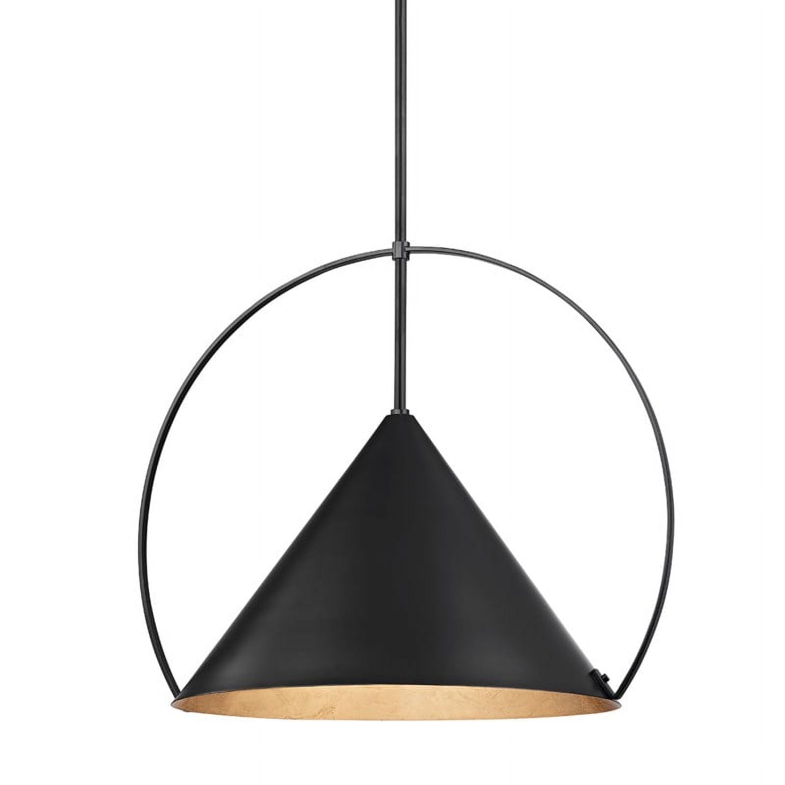 TROY LIGHTING PENDANT F1824-GL/SBK