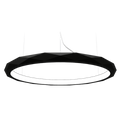 ACCORD 1356-46 LIGHTING PENDANT BLACK confirm in store
