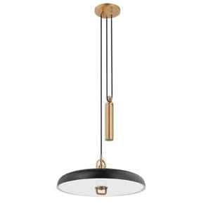 Troy Lighting Plummet pendant light on a white background