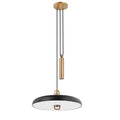 Troy Lighting Plummet pendant light on a white background